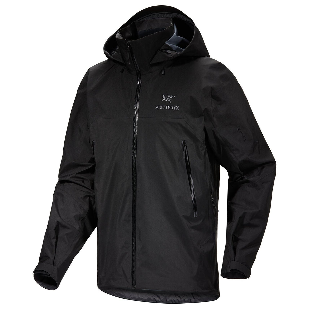 Arc'teryx Men's Beta AR Jacket