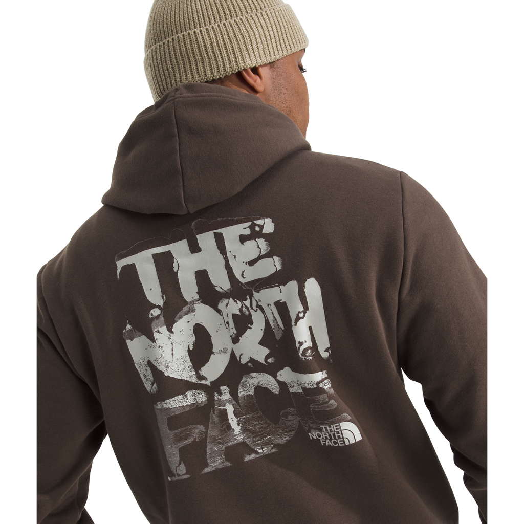 The North Face Men's Evolution Nature Exposure Hoodie - Graphic