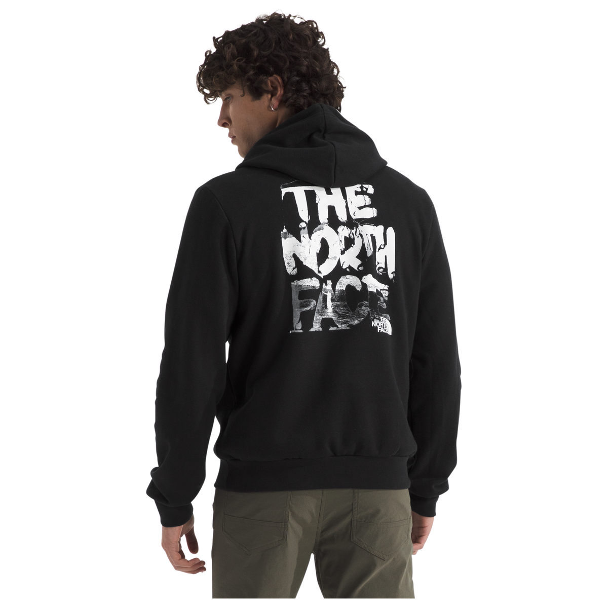 The North Face Men's Evolution Nature Exposure Hoodie - Graphic