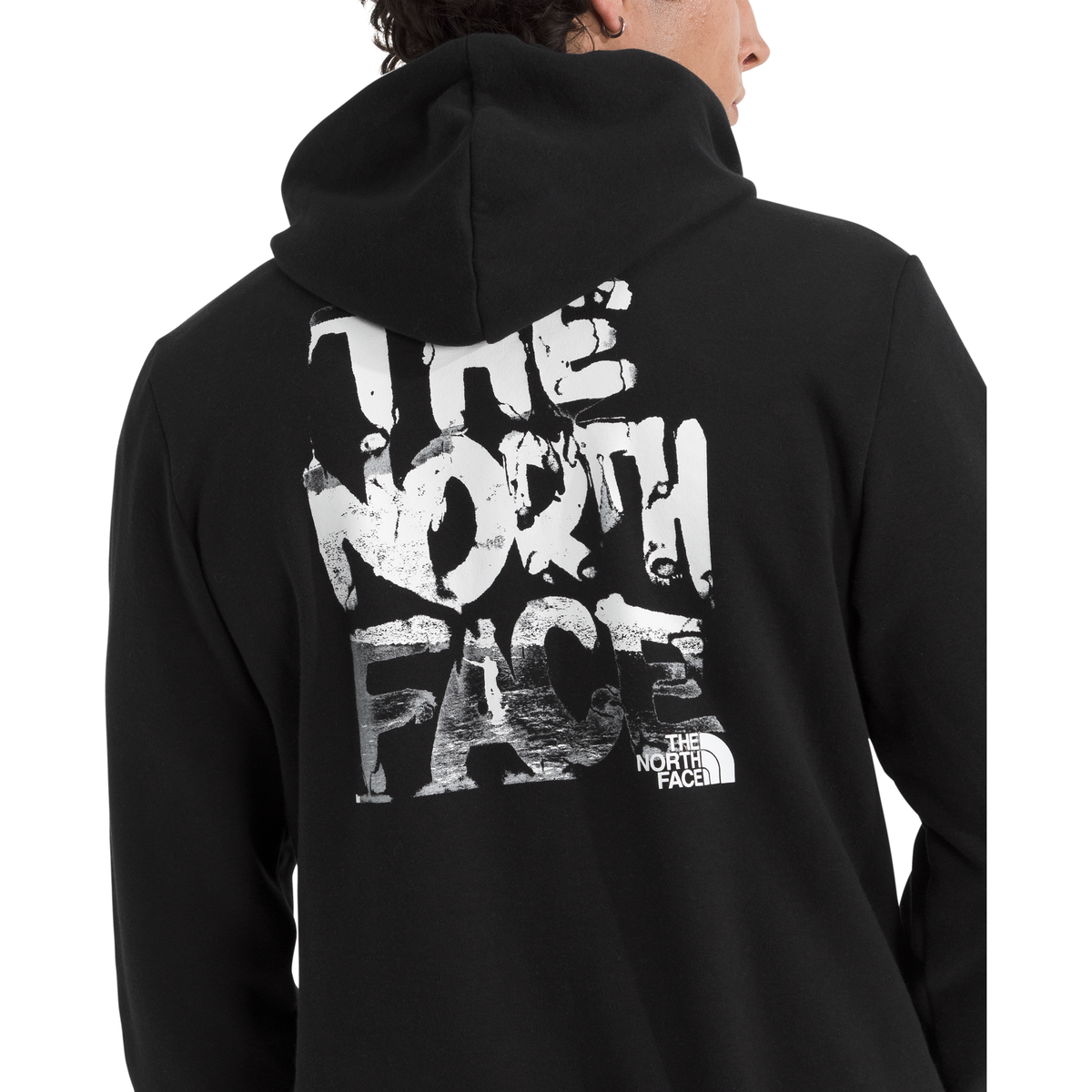 The North Face Men's Evolution Nature Exposure Hoodie - Graphic